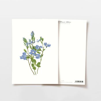 Carte postale Bouquet de Myosotis Bleu, certifiée FSC 1