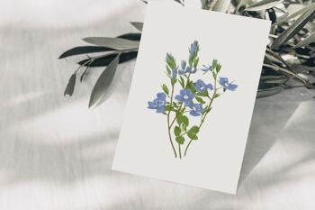Carte postale Bouquet de Myosotis Bleu, certifiée FSC 2