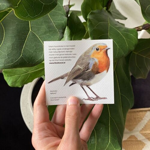Wall sticker red robin - bird illustration - wall art