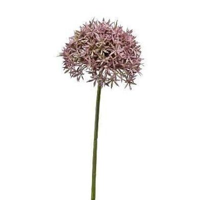 Seidenblume - Allium Spray 62cm Lila