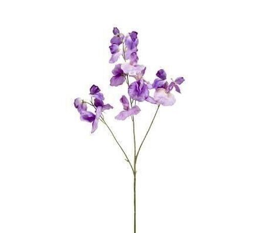 Silk Flower - Lathyrus spray x3 purple 75cm