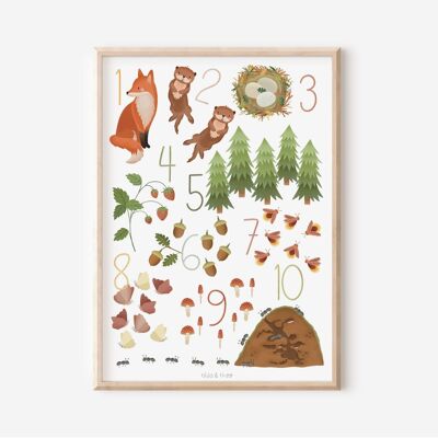 Affiche numérotée forêt 1 à 10 - affiche d'apprentissage comptage image enfant animaux de la forêt