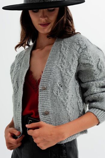 Cardigan tricoté à manches longues et boutons en cristal en gris 2