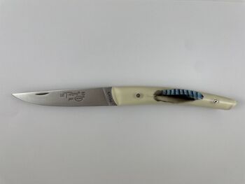 Couteau Le Thiers Pote plein manche 12 cm - Inclusion Plumes de Geai 1