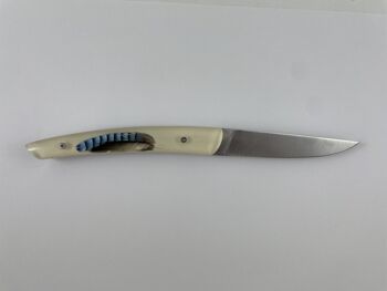 Couteau Le Thiers Pote plein manche 12 cm - Inclusion Plumes de Geai 6