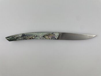 Couteau de poche Le Thiers Pote plein manche 12 cm - Inclusion Truite 2