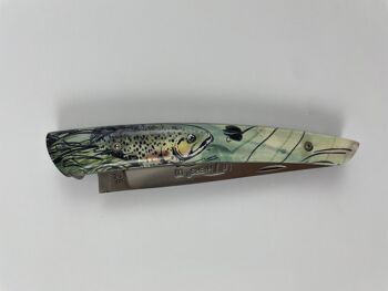Couteau de poche Le Thiers Pote plein manche 12 cm - Inclusion Truite 3