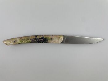 Couteau Le Thiers Pote plein manche 12 cm - Inclusion Chevreuil 6