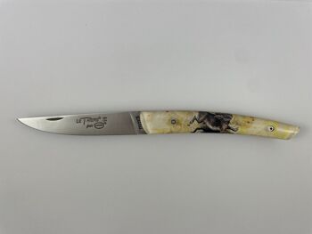 Couteau Le Thiers Pote plein manche 12 cm - Inclusion Lièvre 1