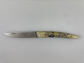 Couteau Le Thiers Pote plein manche 12 cm - Inclusion Scène de Chasse 5