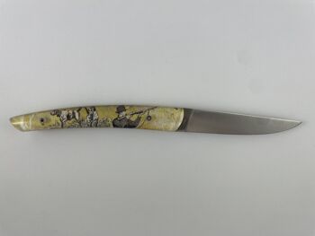 Couteau Le Thiers Pote plein manche 12 cm - Inclusion Scène de Chasse 8