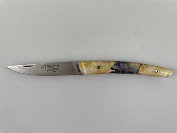 Couteau de poche Le Thiers Pote plein manche 12 cm - Inclusion Sanglier 1