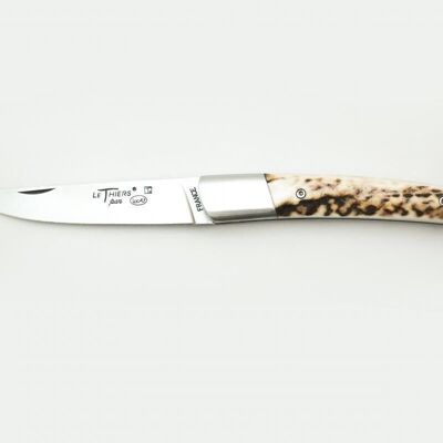 Knife the Elegant 12 cm