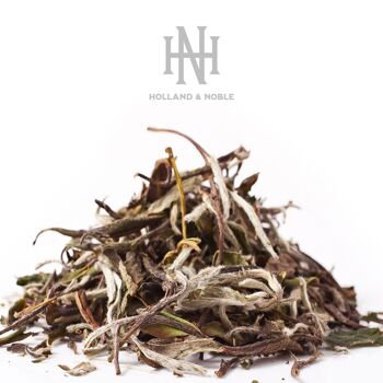 Holland & Noble - Thé à la pivoine blanche - Thé blanc - Premium Bai Mu Dan Chá - 白牡丹茶 - Pai Mu Tan - 100 grammes de thé en vrac dans un emballage en étain de luxe 2