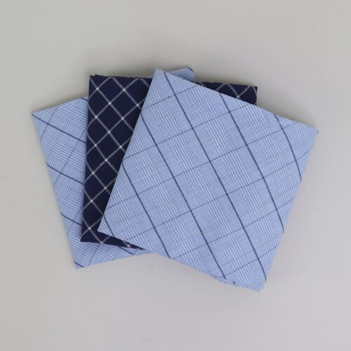 Light Blue/Blue Check Handkerchiefs