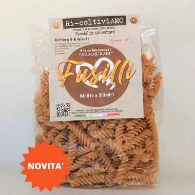 Einkorn buchstabierte Fusilli