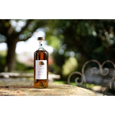 Pineau des Charentes Extra Old