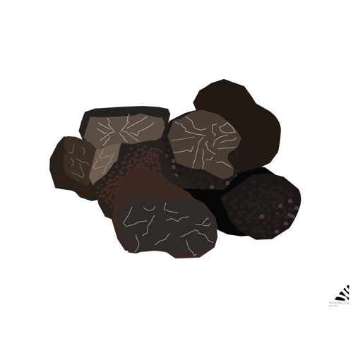 Truffes - 30x30cm