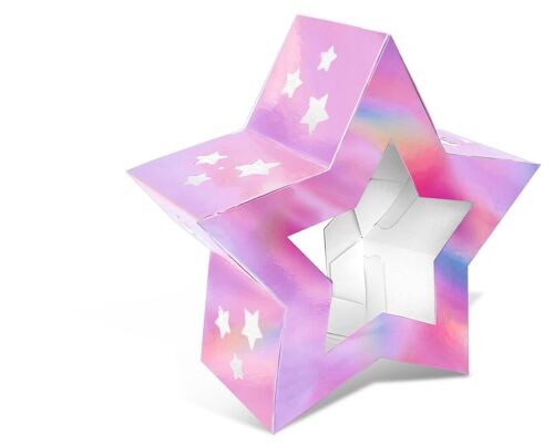 Laternen-Rohlinge "Twinkle Star", pink