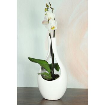 Jardinière en céramique orchidée grande., 19,5 x 16 x 40 cm, blanc, 815867 2