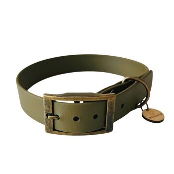 Collier chien en BioThane® - OLIVE 1