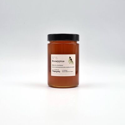 Eucalyptus Honey Origin Spain