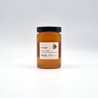 Orange Honey Origin Spain