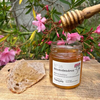 Rhododendron Honey Origin Spain