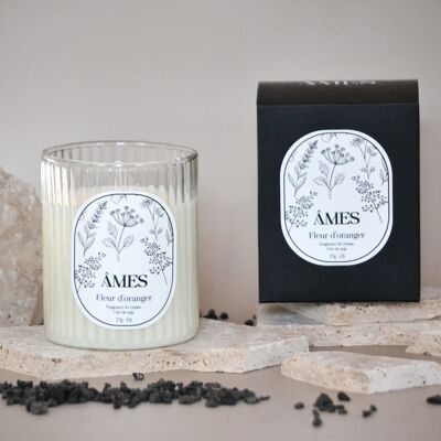 Large scented candle - Orange blossom