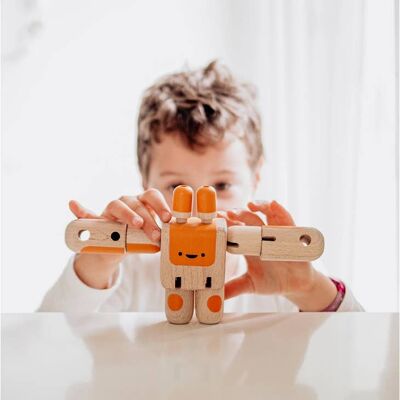 Handmade eco-responsible wooden toy "Raymond / Raymonde"