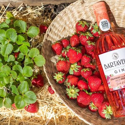 Bartavelle Gin FRAISE RHUBARBE 70cl