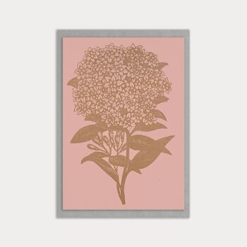 Salutation florale / Pélargonium / Bouvardie / A6 / Eco Love 2
