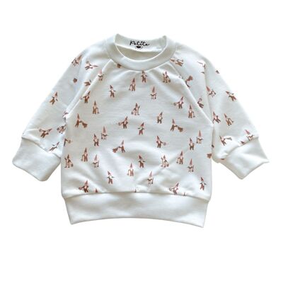 Baby cotton sweatshirt / little gnomes