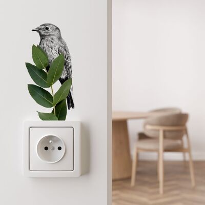 Wall sticker flycatcher - bird illustration - wall decoration