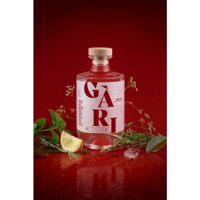 French Provencal Dry Gin - GARI 42%