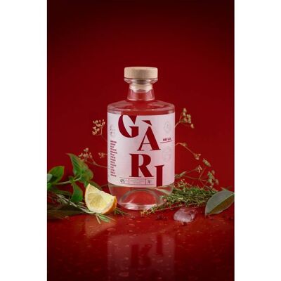 Dry Gin Provencal Francais - GARI 42%