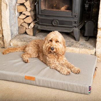 Lit pour chien avec matelas en mousse - Gris 6