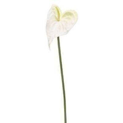 Fiori di seta - Stelo di Anthurium in schiuma bianca 50 cm