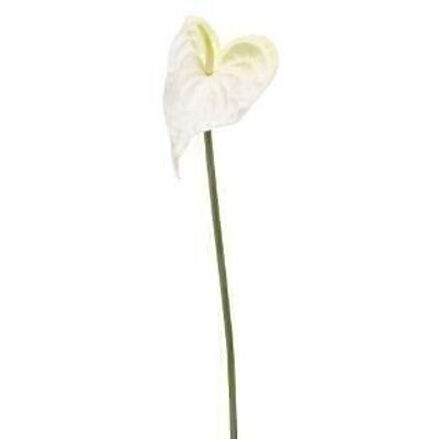 Fleurs en Soie - Tige d'Anthurium mousse blanche 50cm