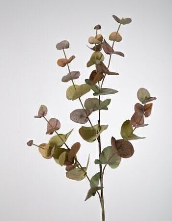 Fleurs en Soie - Eucalyptus 87cm