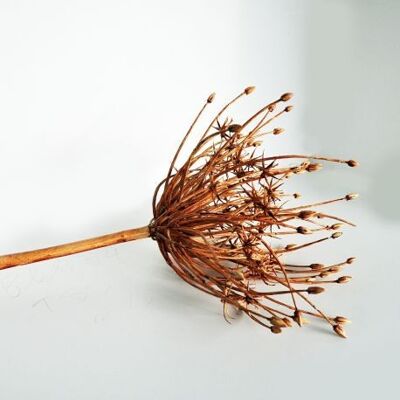 Allium marrone artificiale 53 cm - Composizione floreale