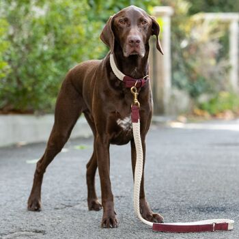 Laisse pour chien en corde plate et cuir - Bordeaux 2