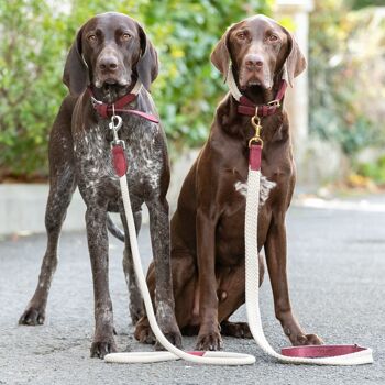 Laisse pour chien en corde plate et cuir - Bordeaux 6