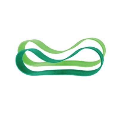 Bandas de silicona Pura para lonchera 2 piezas - menta + musgo
