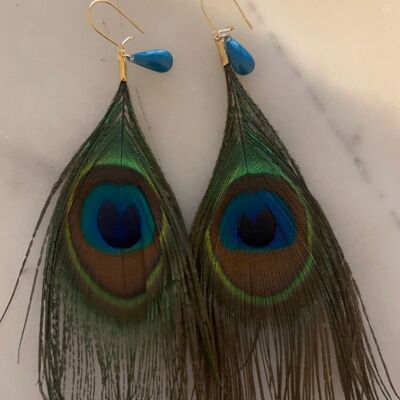 “Nuances” peacock feather earrings
