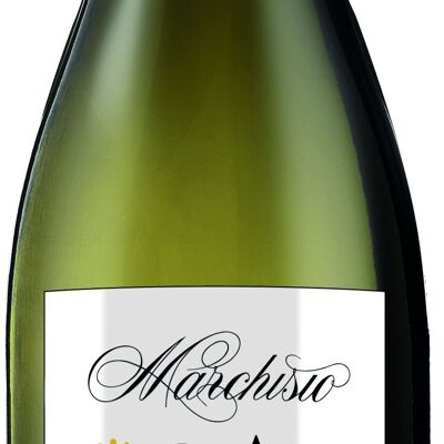 Costa delle Rose Vini in Anfora, Roero Arneis DOCG 2021, MARCHISIO, vin blanc floral et minéral
