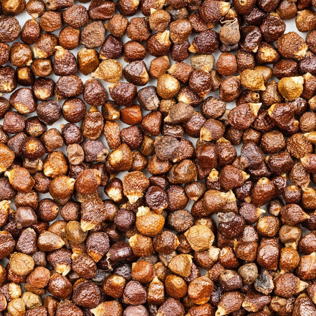 Maniguette (semillas del paraíso)