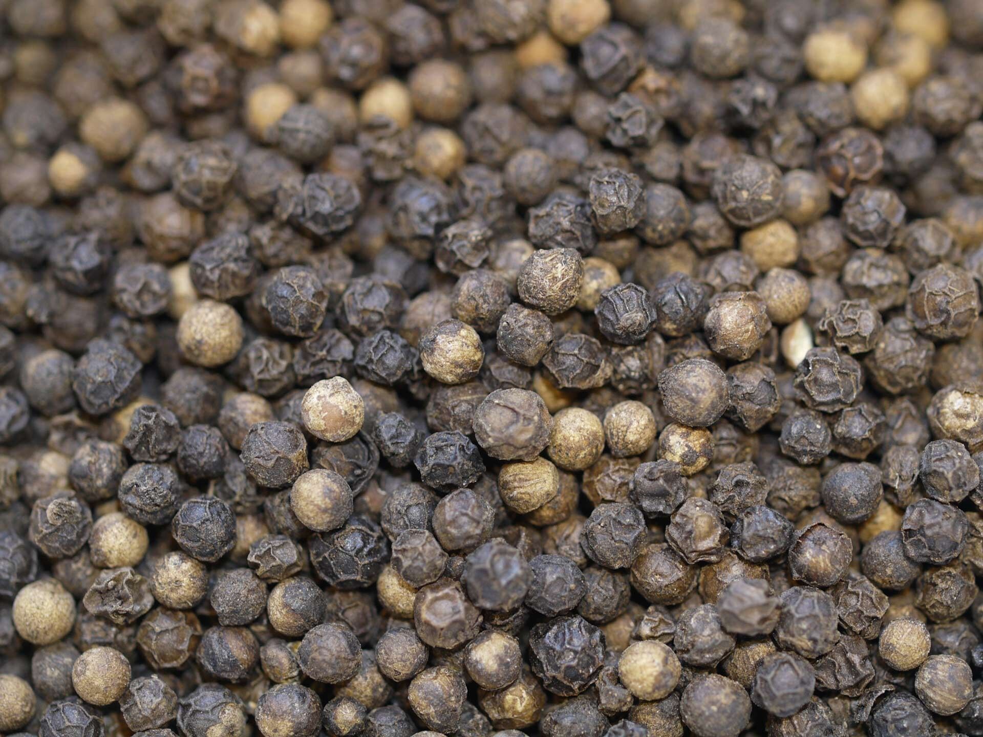 Sarawak schwarzer Pfeffer