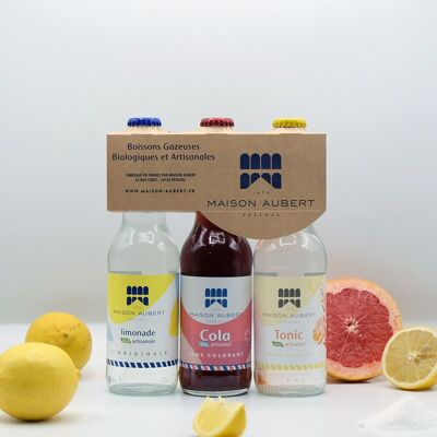 Cocktail-Assoziationspaket – 3 Flaschen handwerklich hergestellte und biologische Limonaden