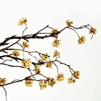 Branche de baie artificielle dorée 78 cm  - Composition florale 3
